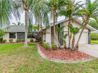 8129 Damara Dr, New Port Richey, FL 34653