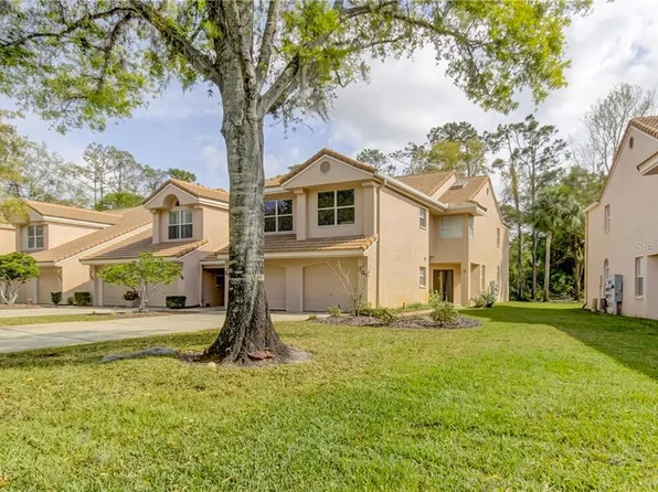 207 Clays Trl, Oldsmar, FL 34677
