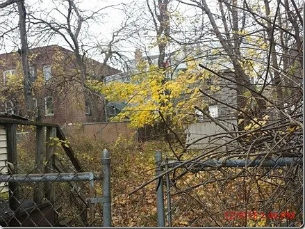 Building Photo 3