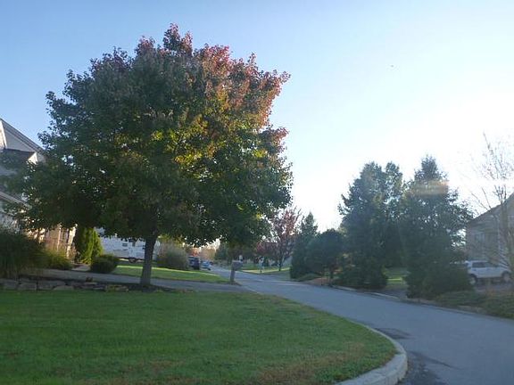 5th image of 119 Christine Dr