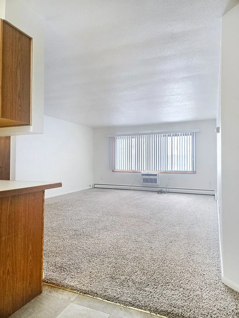Park Apartments - 502 — Photo 3