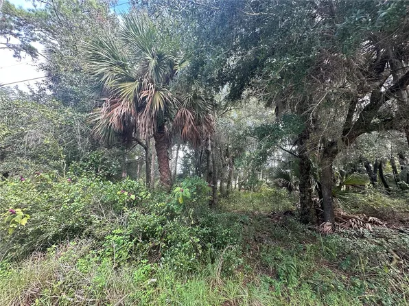PERVIS LANE, OSTEEN, FL 32764