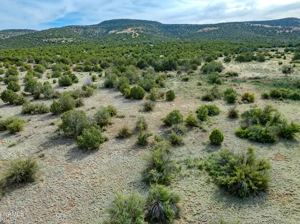5142 N Forest Line Rd, Williams, AZ 86046