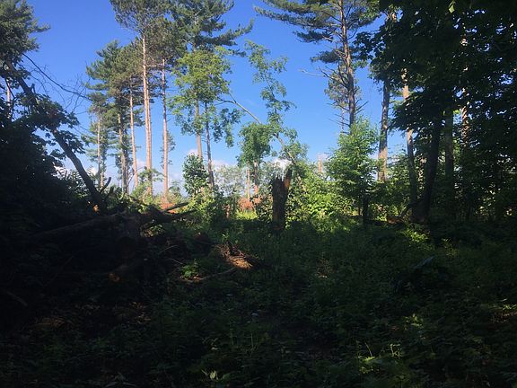 2nd image of Camp Lincoln Rd