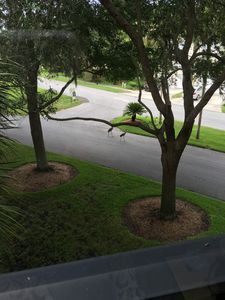 90 S Highland Ave APT 318, Tarpon Springs, FL, 34689