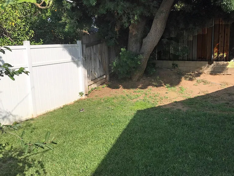 Back yard viewed from pool gate