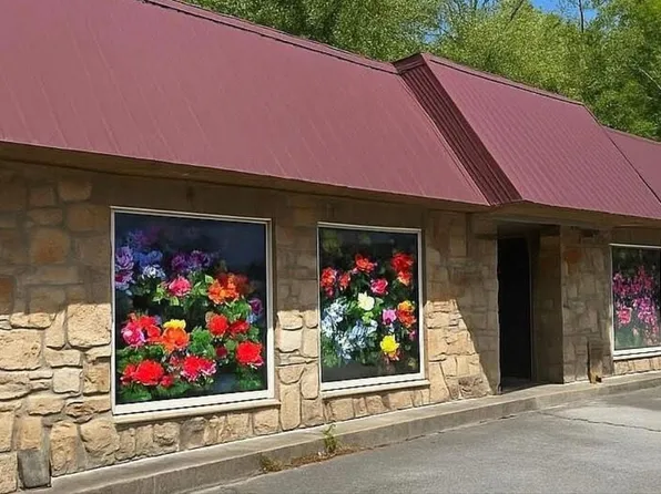 4390 Cosby Hwy, Cosby, TN 37722