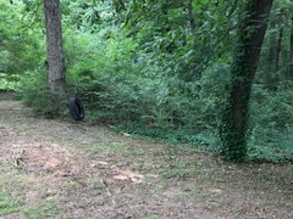 Tree Lined rear Yard