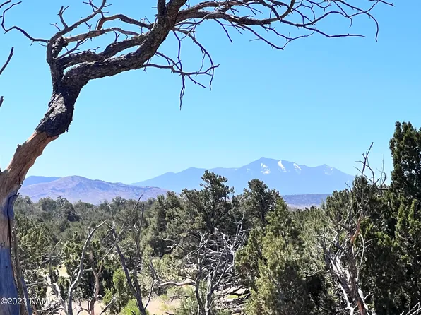 10155 Water Tank Cir, Williams, AZ 86046