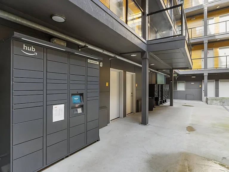 Package delivery options within the community