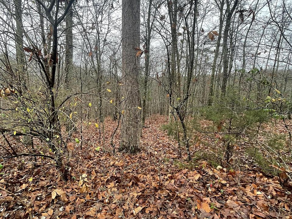 2nd image of 157 Vinita Ln