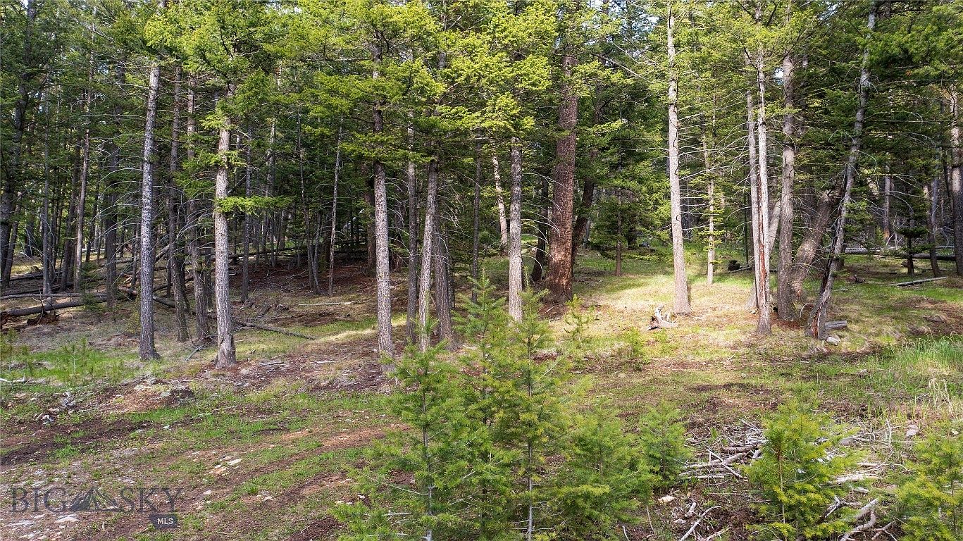 LOT 80 Lakeview Ln, Lake, MT 59711 Zillow