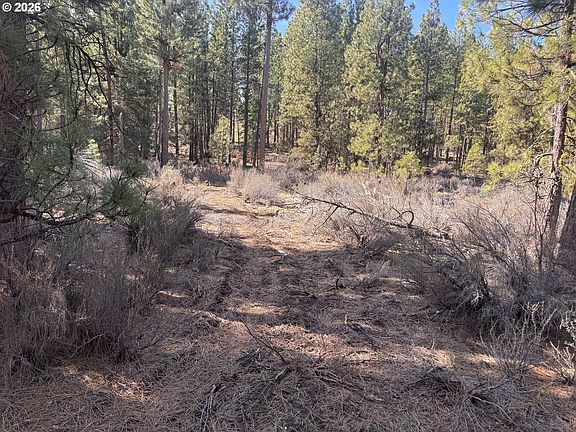 5th image of Bliss Rd #3610