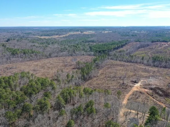 426 County Road 3818, Arley, AL 35541