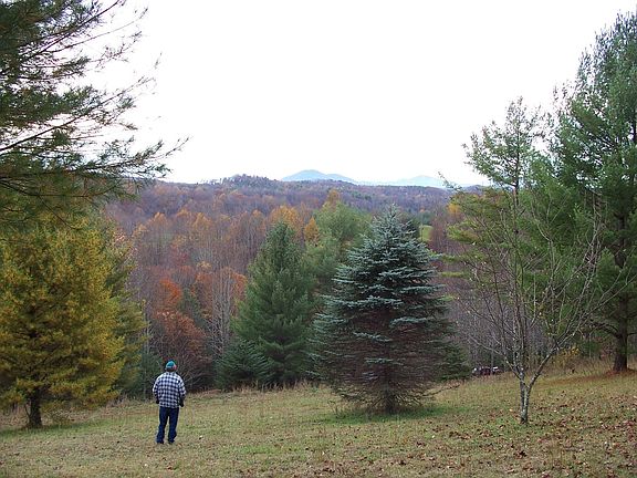 Grandfather Mountain  1