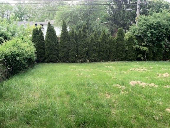 2nd image of 6093 Darby Ln