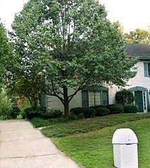 Lovely Townhome in Quiet Community