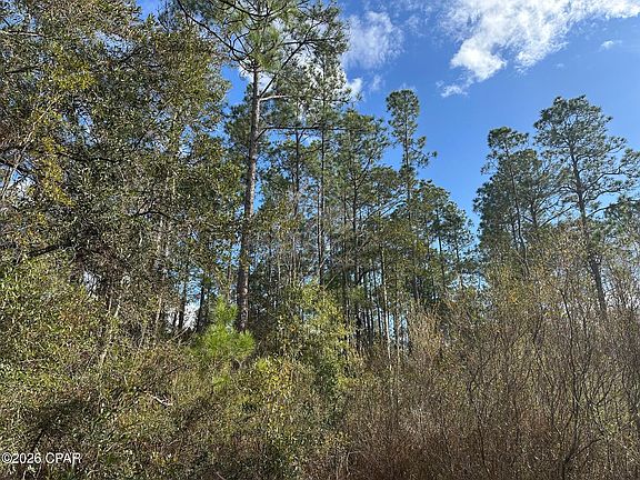 3rd image of 5033 Douglas Ferry Rd