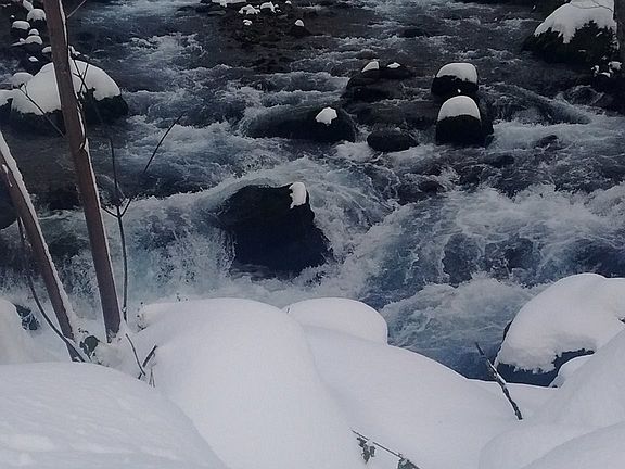 Beautiful nearby creeks & rivers
