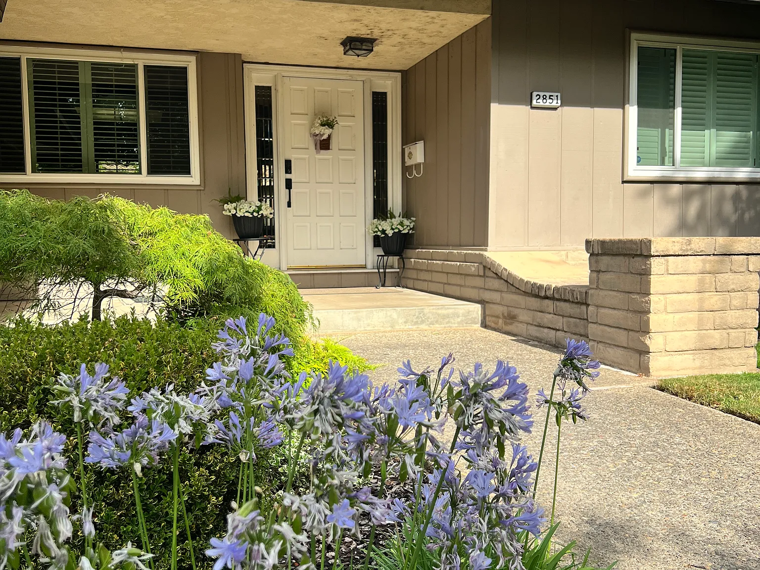 3 bed, 2.5 bath, 1961 sqft, $3,700 — Photo 1