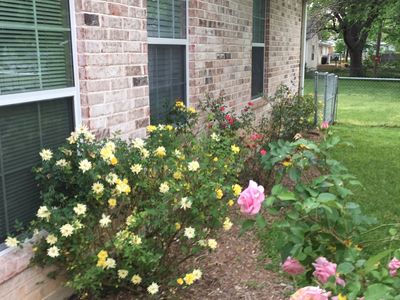 604 9th St, Kemp, TX, 75160