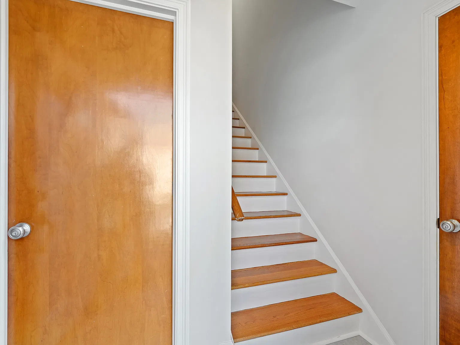 2 bed, 1162 sqft, $3,650 — Photo 4