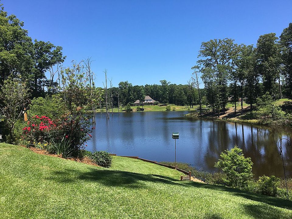 Back yard view