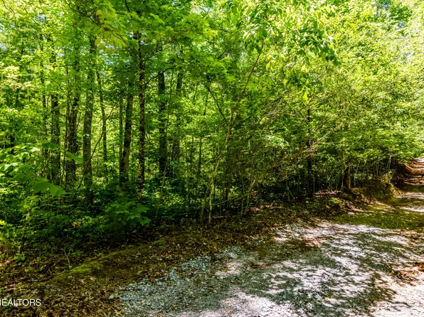 LOT 11 Bobcat Trl, Tallassee, TN 37878