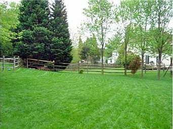 Large, Level Backyard