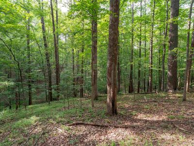 Decca Ln, Charlottesville, VA, 22901