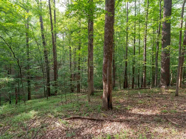 Decca Ln, Charlottesville, VA 22901