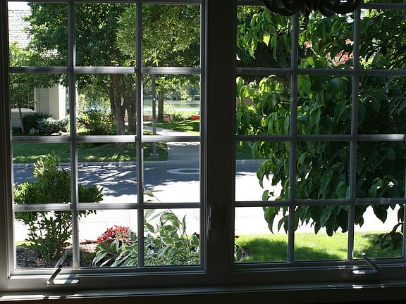 View from the kitchen window
