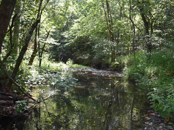 0 Beech Creek Rd, Norman, AR 71960