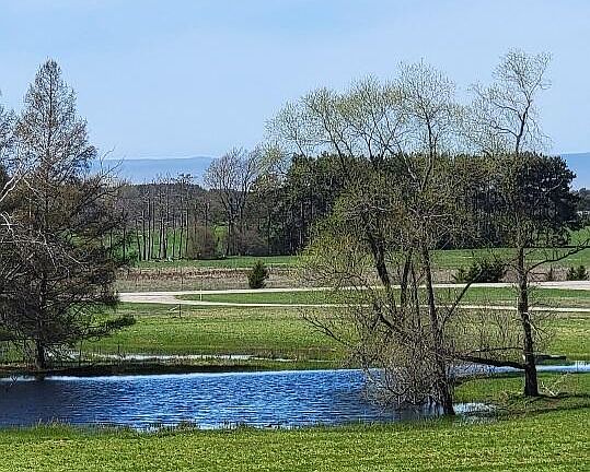 4th image of 7909 Eleven Mile Rd