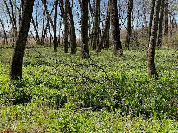 S Dorsett Hill Rd, Archie, MO 64725