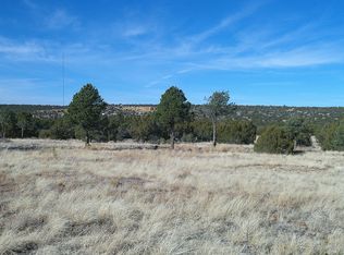 18 County Road 8021, Concho, AZ 85924