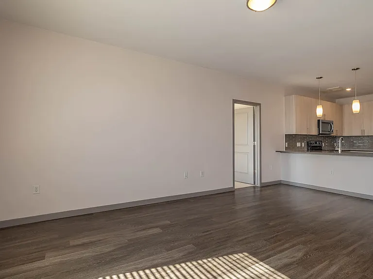 Living Area and Kitchen with Hard Surface Flooring