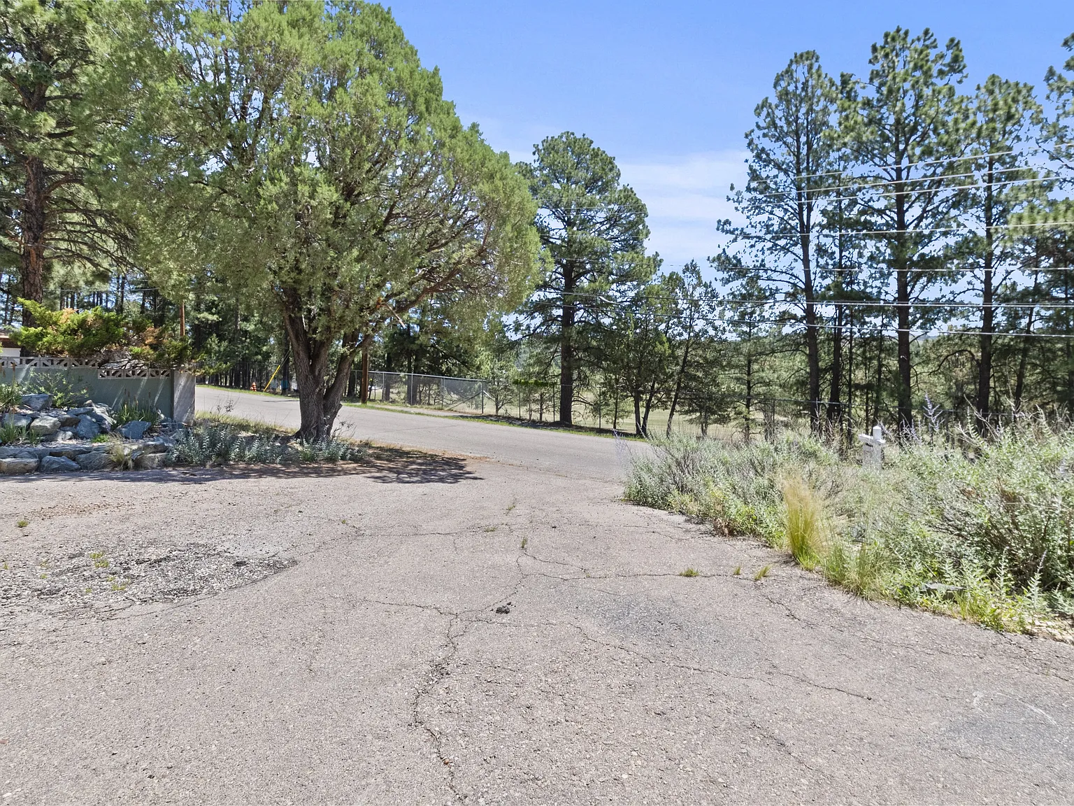 307 Heath Drive - 1 — Photo 4