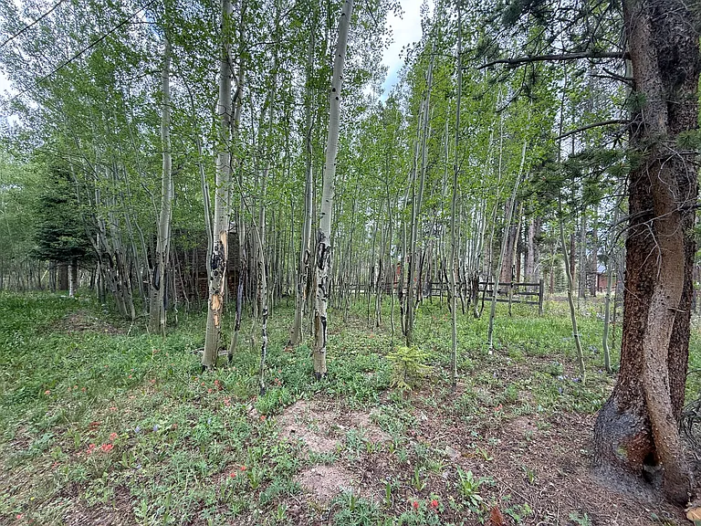 38 Skicrest Ln #CABIN — Photo 9