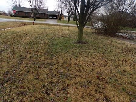 4th image of 1945 Darrell Ct