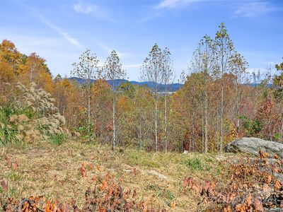 288 Millbrae Loop #1632, Hendersonville, NC, 28791