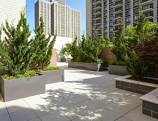 Rented by David Francis New York LLC