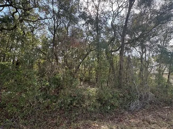 Locust Loop Ter #6, Ocala, FL 34472