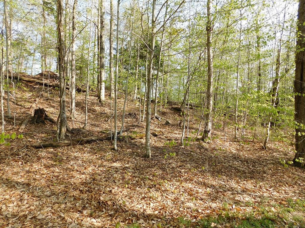 3045 Palisades Rd W, Old NY 13420 Zillow