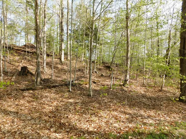 30-4-5 Palisades Rd W, Old Forge, NY 13420