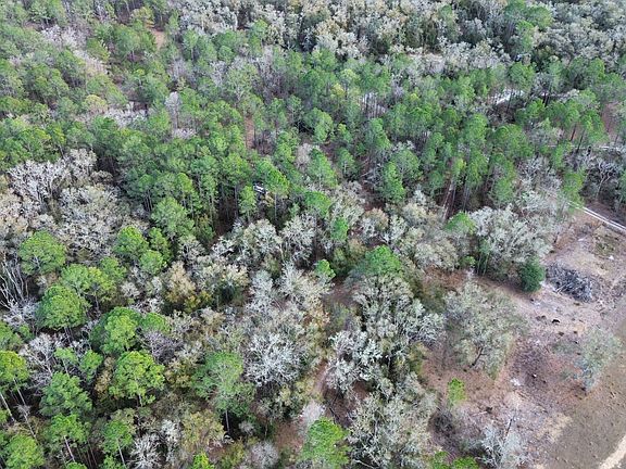 2nd image of NE 126th St