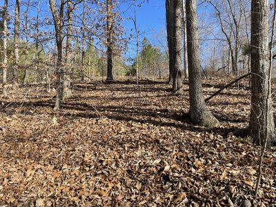 0 Wyatt Hollow Rd, Big Rock, TN, 37023