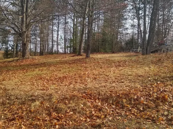 LOT 10 Reynard Dr, Mio, MI 48647