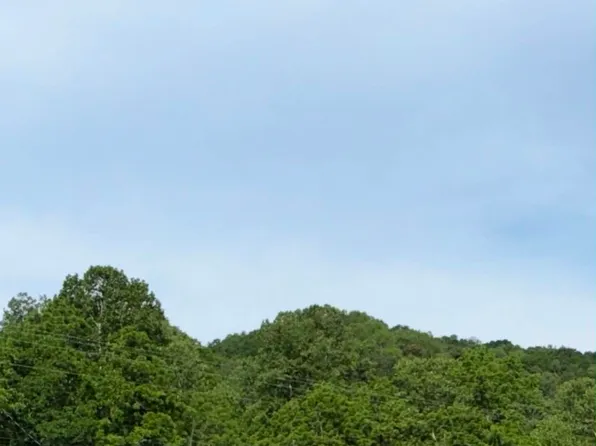 2717 Leatherwood Rd, Greenup, KY 41144