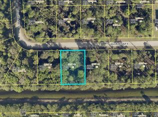 920 Alcalde St E, Lehigh Acres, FL 33974